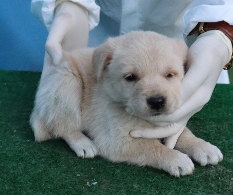 제주 동물보호센터_450650202503034